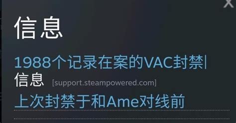 STEAM无法验证VAC,运行出现问题的解决方法_3DM网游