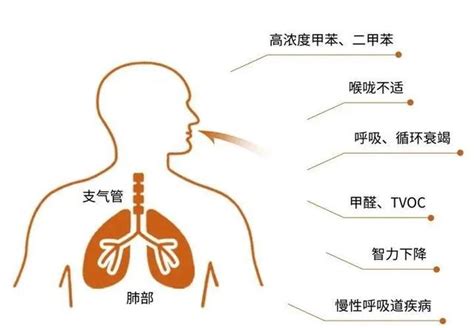 空气质量改善可显著降低儿童哮喘患病风险，母乳断乳期是潜在敏感暴露窗口期 - 复旦大学公共卫生学院