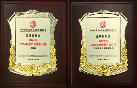 汉狮影视广告公司获「2011中国广告实效案例大奖」