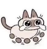 暹罗猫表情包/あずきさん图片