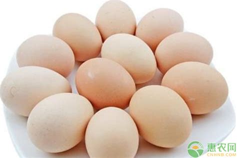 鸡蛋价格早报：今日全国各地区鸡蛋价格行情分析 - 惠农网