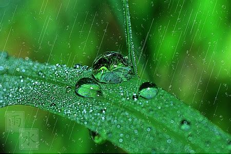 雨水图片-雨水落在水中素材-高清图片-摄影照片-寻图免费打包下载
