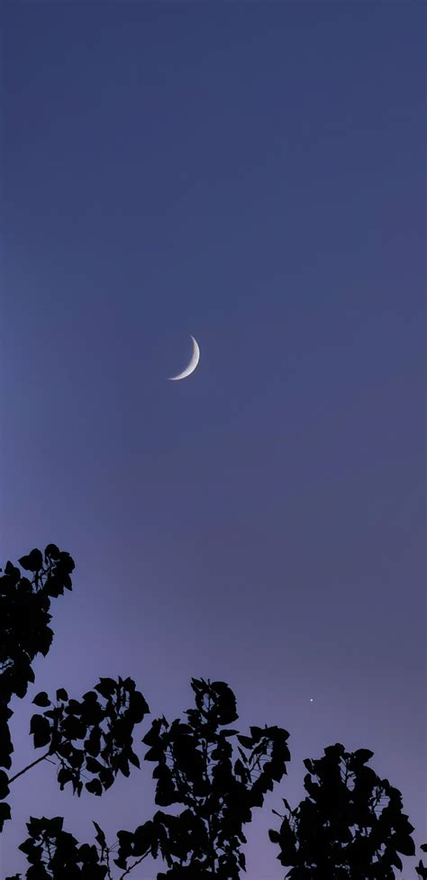 夜空中最亮的星恋上新月了 金星伴眉月“文艺片”免费开演-大河新闻