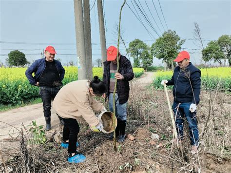 安徽铜陵：推进“数字乡村”建设 完善智慧农业服务-人民图片网