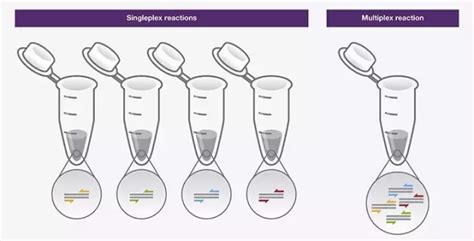 PCR 核酸检测技术原理和案例分析_生物器材网