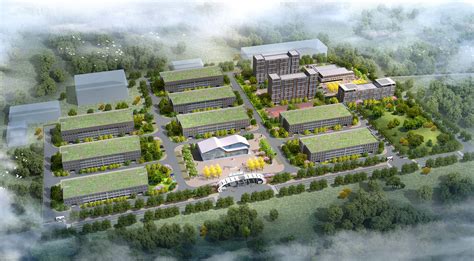 集中签约项目9个 总投资额221亿元渭南市临渭区发力“银发经济”打造美好生活示范区