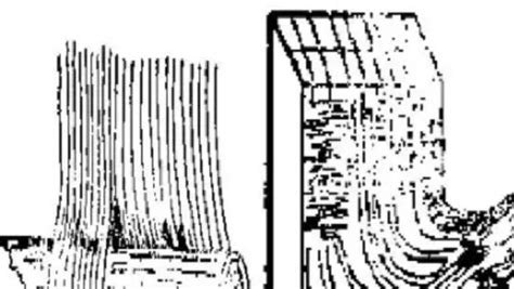 香樟木块实木地板防虫樟木片衣柜家用老樟木原木块防蛀粉屑-阿里巴巴