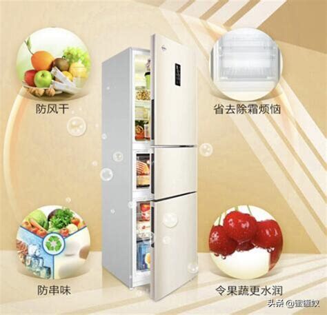 中国十大名牌冰箱排行榜（国内十大冰箱品牌有哪些牌子）_玉环网