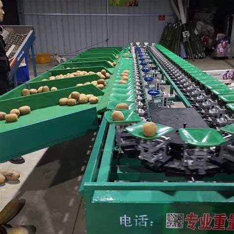 四川眉山猕猴桃分级机 水果选果机分果机-食品机械设备网