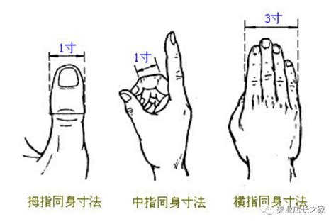 七用手指怎么表示,手指头,广东省_大山谷图库