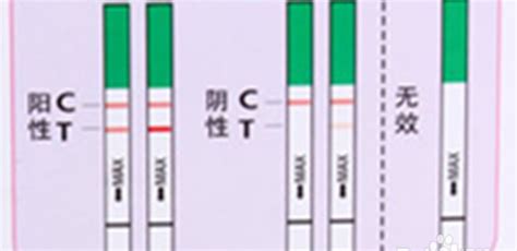 排卵试纸使用方法及注意事项_360新知