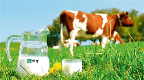蒙牛乳业品牌策划及品牌定位的过程是怎样的 - 艺点意创