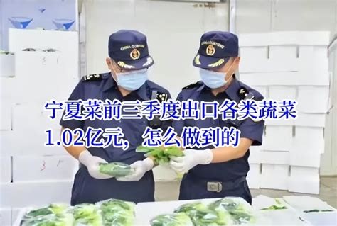 2020年中国冷冻蔬菜进出口贸易现状分析：冷冻什锦蔬菜出口数量最多[图]_智研咨询