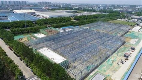 蜂巢能源无钴正极材料在常州工厂正式批量下线 - 中国日报网