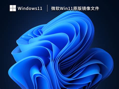 微软Win11原版镜像下载_Windows11官方下载22H2原版镜像文件 - 系统之家