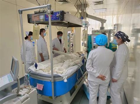 内蒙古包钢医院烧伤外科首次采用主动脉内球囊反搏术成功抢救烧伤面积95%的危重烧伤患者-内蒙古包钢医院