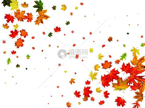 秋天风景以白色背景隔离的季节模式高清图片下载-正版图片506275937-摄图网