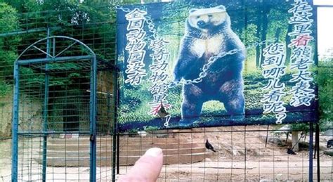 上海野生动物园熊咬人 折射了怎样无解的困境？ - 知乎