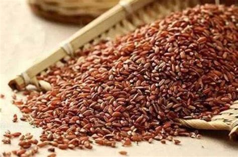 中国最好吃的十种大米：胭脂米上榜，五常大米荣登榜首_巴拉排行榜