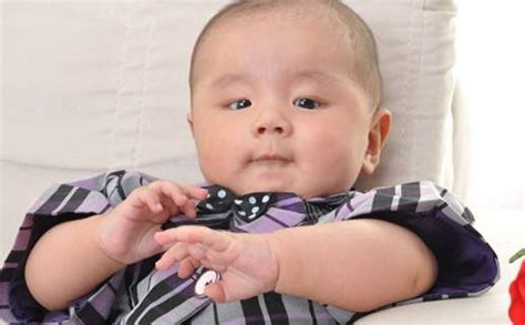 2022年1月出生的男孩起名 虎年正月儒雅男宝宝名字合集-起名网