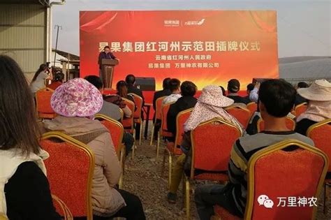 易果集团联合万里神农在云南红河启动首个示范田项目-万里神农有限公司