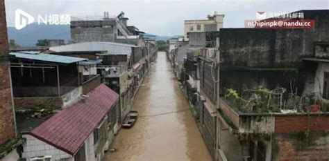 西安南郊终于下雨了 陕西这里遭遇特大暴雨，树都淹没了… - 西部网（陕西新闻网）