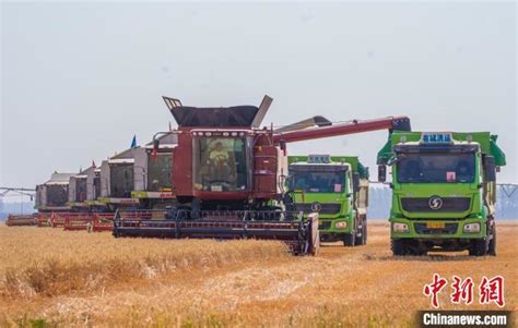 【大国粮策】河南小麦大规模机收基本结束 收获面积逾8500万亩_四川在线