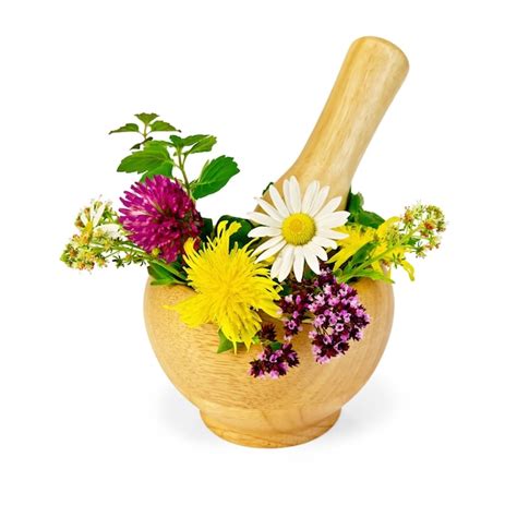 Premium Photo | Mortar with mint, flowers of chamomile, clover, oregano ...