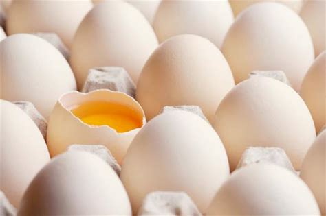 需求削减！山东鸡蛋价格创年内新低 均价5.98元/公斤实现“鸡蛋自由”_TOM财经