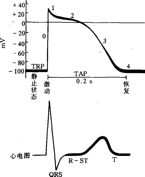 电位法及双指示电极电流滴定法-ZhiMap思维导图