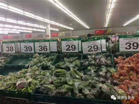本周漳州市区猪肉价格上涨，蔬菜价格上涨 - 漳州价格资讯 - 东南网漳州频道