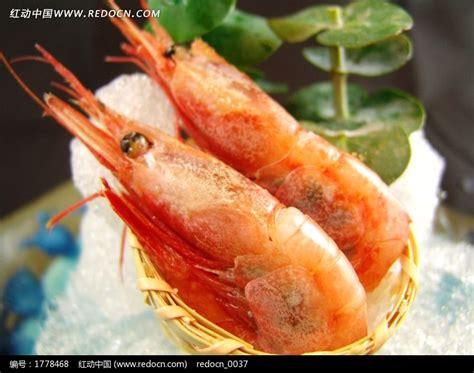海鲜美食甜虾刺身冰镇大虾图片下载_红动中国