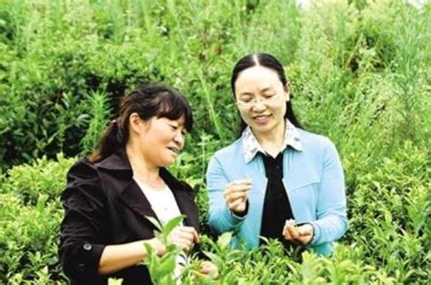 让“小茶叶”展大作为——访六盘水市农业科学研究院副院长陈健