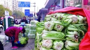 大白菜：北京人温暖记忆 冬储白菜日售1万3千斤_新闻中心_中国网