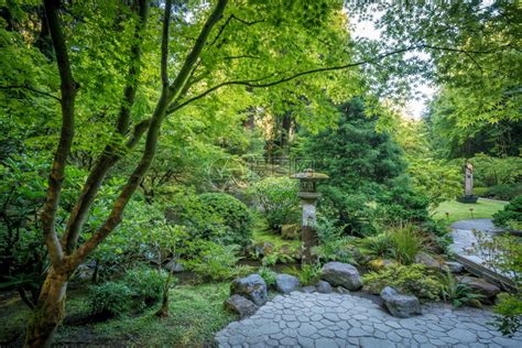 波特兰花园庭院设计实景-房产新闻-海南搜狐焦点网