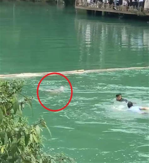 女游客被水流冲走百米远，景区两工作人员跳水成功救人_女子_男士_荔波县