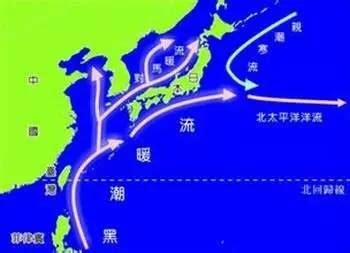 寒潮吹出7个风暴，日本被包围！气象厅：正常现象，局部雪超3米|暴风雪|寒潮|积雪_新浪新闻