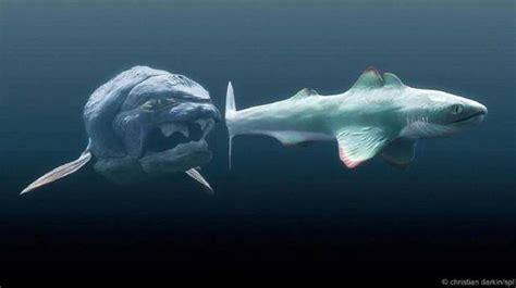 海中的恐怖之战：邓氏鱼VS巨齿鲨 | 景盛龙翔