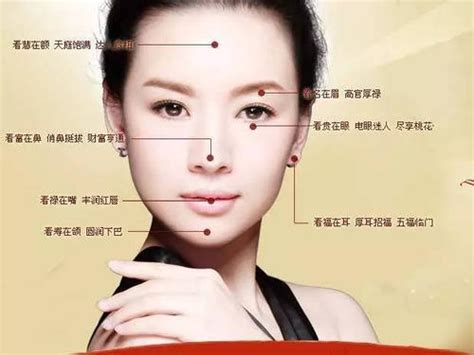 女人面相图解大全图片