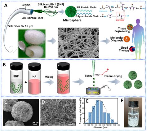 武汉纺织大学 ACS Nano：天然蚕丝纳米纤维的组装和多功能生物应用_中国聚合物网科教新闻