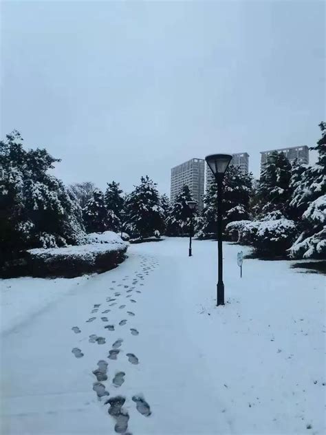 美成童话！济宁2021年的第一场雪来了 - 民生 - 济宁 - 济宁新闻网