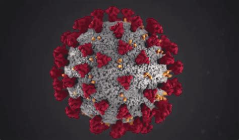 首次揭秘！新冠病毒的真实形貌是这样_健康界