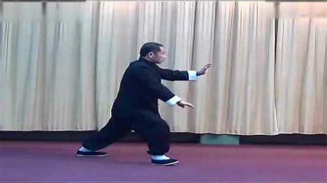 85式太极拳教学 杨式太极拳教学 背面演练_腾讯视频