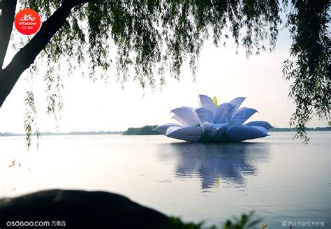 30米充气大莲花在上海青浦大莲湖展示、由著名设计师陈逸明设计|资源-元素谷(OSOGOO)