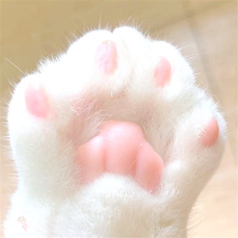 非主流头像猫爪图片