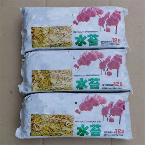 水苔图片