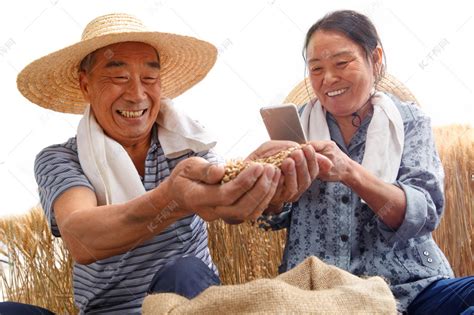 小伙帮女友家收玉米从早干到晚 女友：好几天家里都夸他能干 - 社会民生 - 生活热点