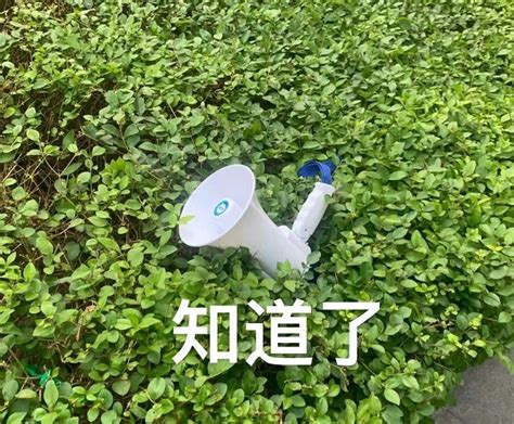 知道啦知道啦表情图片