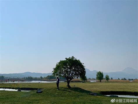 丽江的秋天，花花的世界-丽江旅游攻略-游记-去哪儿攻略