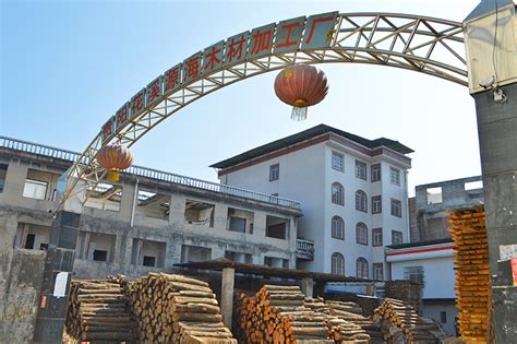 上海木材批发市场_上海木材批发市场价格_上海木材批发市场厂家-木方木材加工厂
